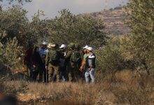 صورة مستوطنون يهاجمون المنطقة الصناعية شرق طولكرم