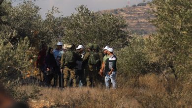 صورة مستوطنون يهاجمون المنطقة الصناعية شرق طولكرم